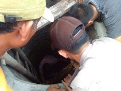 Sutini Tewas Diduga Ceburkan Diri ke Dalam Sumur