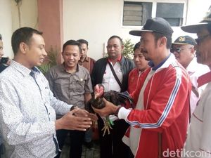 Beda Sendiri, Para Caleg Ini Daftar ke KPU Bawa Ayam Jago