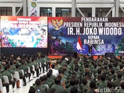 Saat Jokowi Cek Kenaikan Tunjangan 771% ke Babinsa
