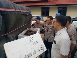 Polda Kalbar Gagalkan Penyelundupan 3.801 Kepiting ke Malaysia