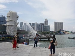 Monyet Langka yang Kabur 6 Bulan Lalu dari Kebun Binatang Singapura Ditemukan