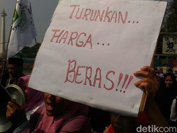 Demo Sembako Murah, Emak-emak Bawa Peralatan Dapur di Depan Istana