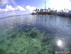 Spot Snorkeling Keren di Aceh yang Belum Banyak Orang Tahu