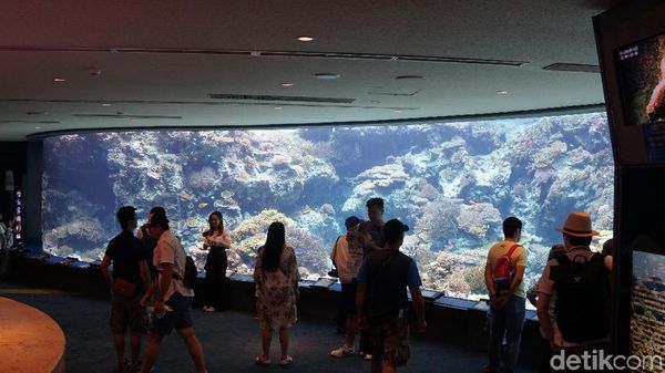 Foto: Beginilah Akuarium Terbesar Dunia dari Jepang