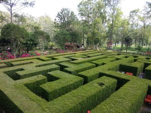 Asyiknya Main di Taman Labirin Indrokilo Boyolali