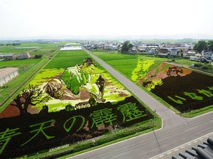 Keren! Sawah di Jepang Ini Berbentuk Karakter Anime Hingga Audrey Hepburn