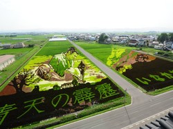 Keren! Sawah di Jepang Ini Berbentuk Karakter Anime Hingga Audrey Hepburn