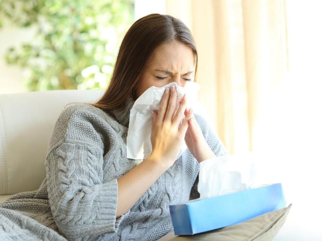 Sedang Flu dan Demam? Ini Makanan yang Harus Dihindari Sedang Flu dan Demam? Ini Makanan yang Harus Dihindari