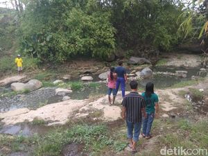 Mengapa Kampung di Mojokerto Ini Jadi Habitat Sanca, Ini Penjelasannya