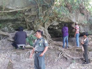 Tinjau Gua Sarang Sanca, BKSDA Yakini Ada yang Lebih Besar