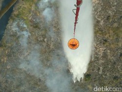 180 Hektare Lahan di Sumsel Terbakar