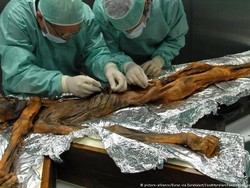 Makanan Kesukaan Mumi Legendaris tzi Berusia 5.300 Tahun Terungkap!