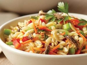 Mau Cicip Ramen Cacing dan Es Krim Ulat? Ini 5 Tempat yang Bisa Dikunjungi