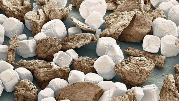 Potret Mencengangkan Benda-benda di Bawah Mikroskop