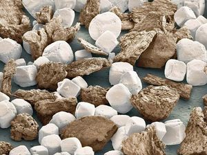 Potret Mencengangkan Benda-benda di Bawah Mikroskop