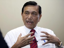 Pak Luhut Tak Perlu Heran Lagi, yang Wafat karena Corona tembus 500