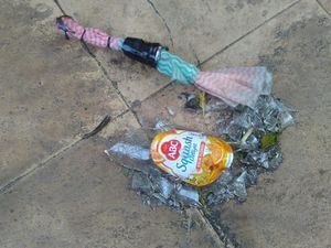 Mardani Ali Sera Mengaku Rumahnya Dilempar Molotov