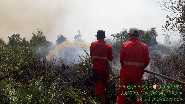 KLHK: Karhutla di Ogan Komering Ilir Berhasil Dipadamkan