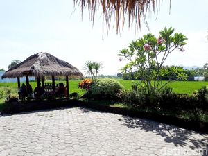 Warung Dakota: Menikmati Gurami Rajang Ditemani Hijaunya Sawah Mataram Warung Dakota: Menikmati Gurami Rajang Ditemani Hijaunya Sawah Mataram