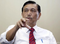 Luhut soal Ojol Boleh Angkut Penumpang: Pemda Bisa Atur Sendiri