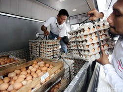 Meski Harga Pakan Naik, Daging dan Telur Ayam Tetap Stabil