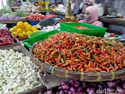 Harga Cabai Rawit di Malang Bertahan Tinggi Rp 50 Ribu/Kg