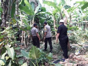 Molotov di Rumah Mardani Ali Sera Diduga Dilempar dari Kebun Molotov di Rumah Mardani Ali Sera Diduga Dilempar dari Kebun