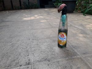 5 Orang Diperiksa soal Teror Molotov di Rumah Mardani Ali Sera 5 Orang Diperiksa soal Teror Molotov di Rumah Mardani Ali Sera