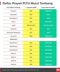 Daftar PLTU Mulut Tambang