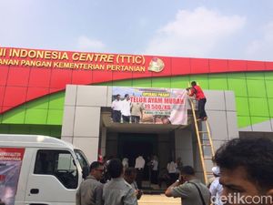 Kementan Operasi Pasar Telur Ayam, 100 Ton Disebar ke Jabodetabek