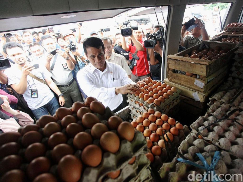 Operasi Pasar Berlanjut hingga Harga Telur Turun ke Rp 25.000/Kg Operasi Pasar Berlanjut hingga Harga Telur Turun ke Rp 25.000/Kg