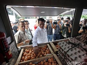 100 Ton Telur Ayam Disebar ke Jabodetabek