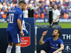 Fabregas ke Hazard: Jangan Pergi, Kami Cinta Kamu
