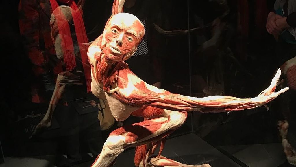 Museum Jenazah Surganya Para Pecinta Anatomi, Jangan Lihat Kalau Takut!