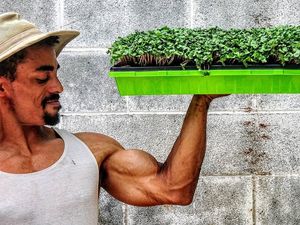 Itu Urat Apa Akar? Potret Mike, Petani Kekar yang Senang Berpose