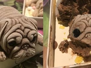 Viral! Ada Es Krim Bulldog yang Terlihat Persis Anjing Sungguhan