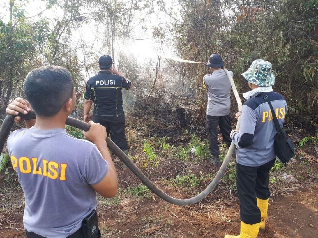15 Hektare Hutan Konservasi di Riau Terbakar