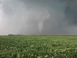 Ratusan Ilmuwan Dipecat Trump, Nyawa Warga Bisa Terancam