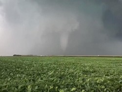 Ratusan Ilmuwan Dipecat Trump, Nyawa Warga Bisa Terancam