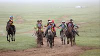 Lomba Pacuan Kuda Cilik Kontroversial di Mongolia