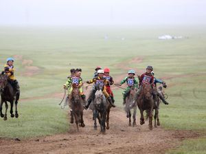 Lomba Pacuan Kuda Cilik Kontroversial di Mongolia Lomba Pacuan Kuda Cilik Kontroversial di Mongolia