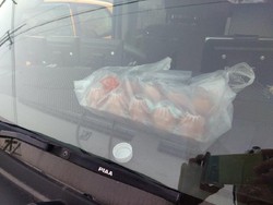 Saking Panasnya Suhu di Jepang, Orang-orang Memasak di Atap Mobil