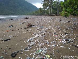 Pantai di Trenggalek Dipenuhi Sampah, Ini Penyebabnya Pantai di Trenggalek Dipenuhi Sampah, Ini Penyebabnya