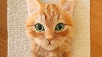 Wow! Hiasan Kucing Ini Terlihat Seperti Asli