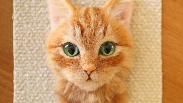 Wow! Hiasan Kucing Ini Terlihat Seperti Asli