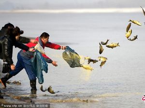 Duh, 10.000 Ekor Ikan di Danau untuk Ritual Keagamaan Malah Dimakan!