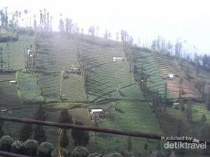 Melihat Teduhnya Bromo di Pagi Hari