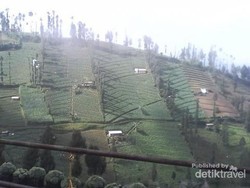 Melihat Teduhnya Bromo di Pagi Hari