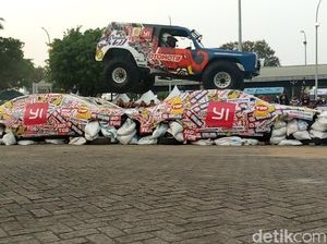 Jangan Lewatkan Aksi Mobil Digilas Gajah Monster Pekan Ini Jangan Lewatkan Aksi Mobil Digilas Gajah Monster Pekan Ini