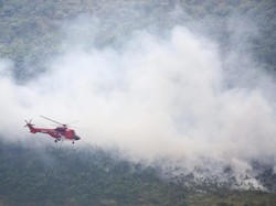 Jelang Asian Games, APP Sinar Mas Bantu Padamkan Karhutla di Sumsel